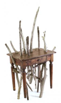 branches are growing inside a table - Marcantonio design