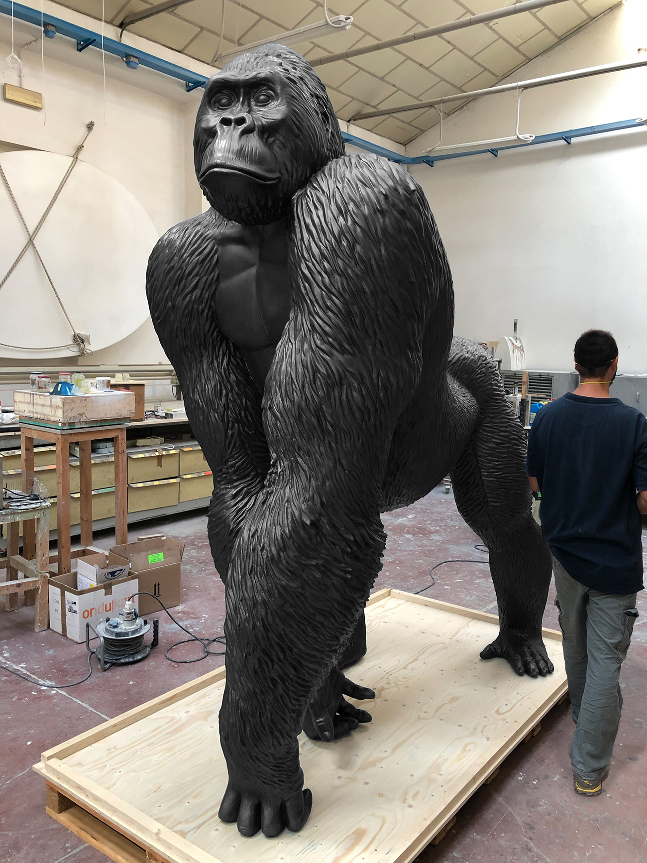 BIG GORILLA - Marcantonio design