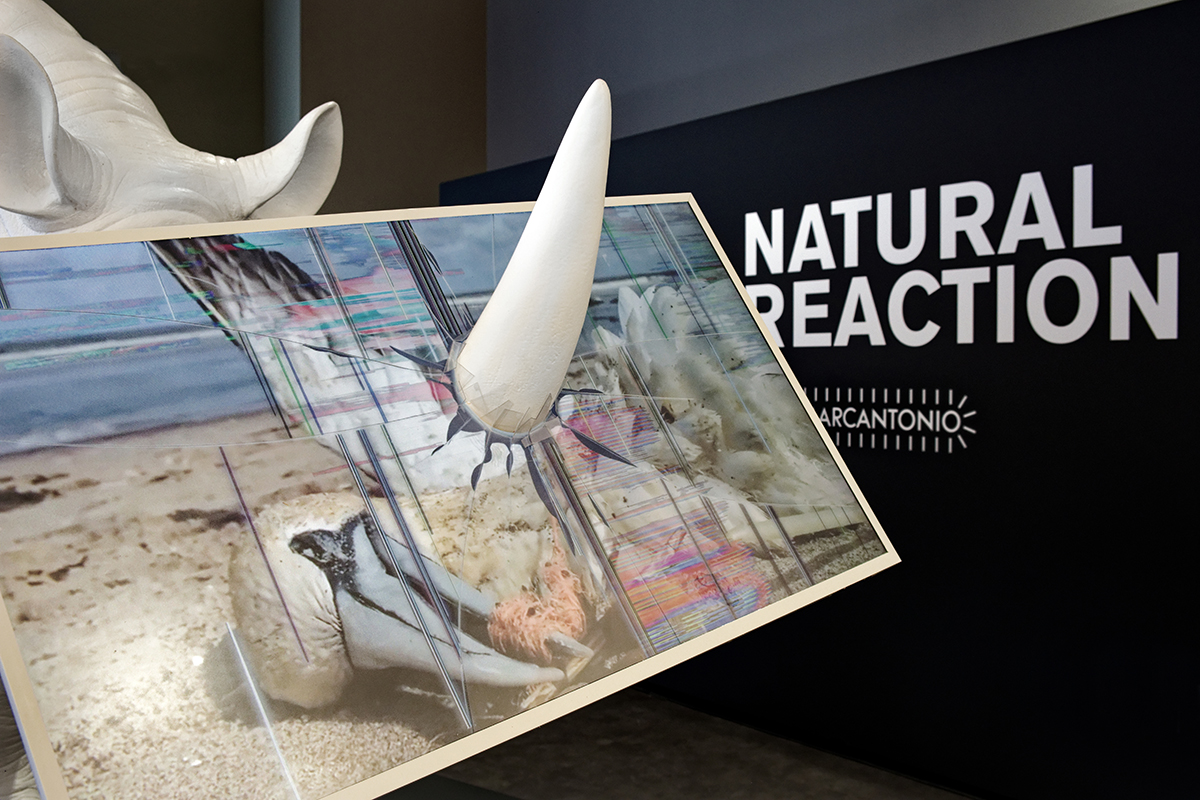 NATURAL REACTION (Rinoceronte con schermo) - Marcantonio design