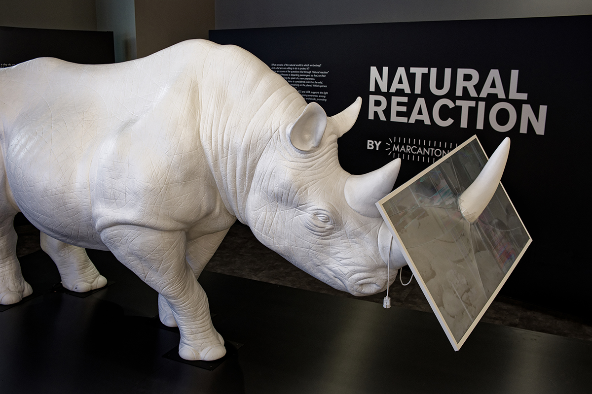 NATURAL REACTION (Rinoceronte con schermo) - Marcantonio design