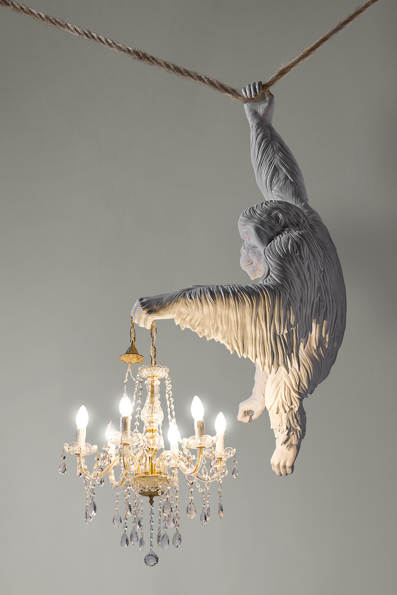 THE DOOR WAS OPEN.. (ORANGUTAN WITH CHANDELIER) - Marcantonio design