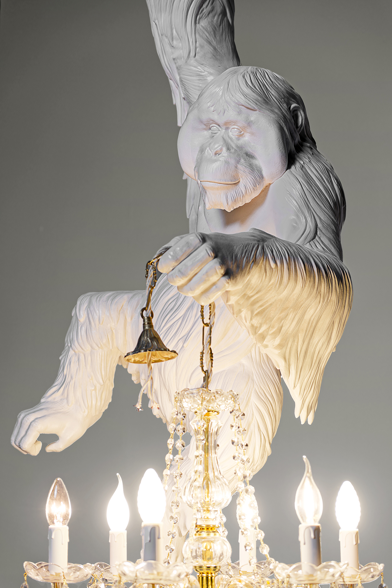 THE DOOR WAS OPEN.. (ORANGUTAN WITH CHANDELIER) - Marcantonio design