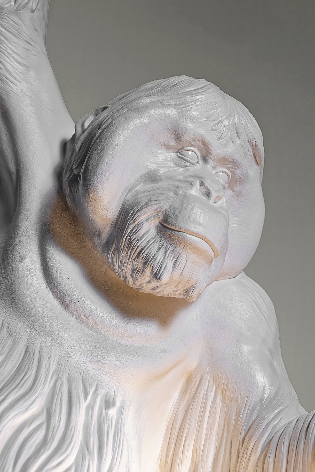 THE DOOR WAS OPEN.. (ORANGUTAN WITH CHANDELIER) - Marcantonio design