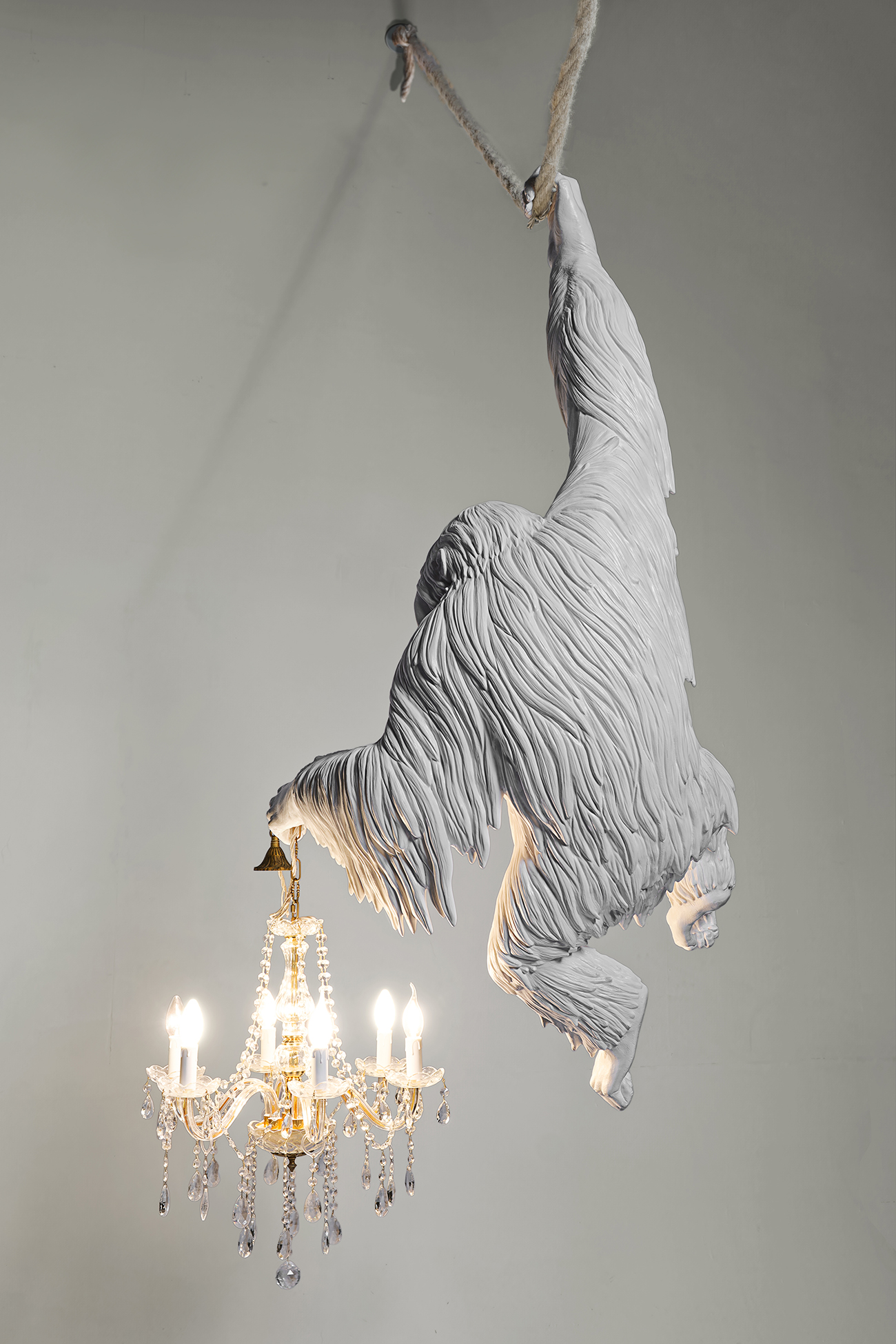 THE DOOR WAS OPEN.. (ORANGUTAN WITH CHANDELIER) - Marcantonio design
