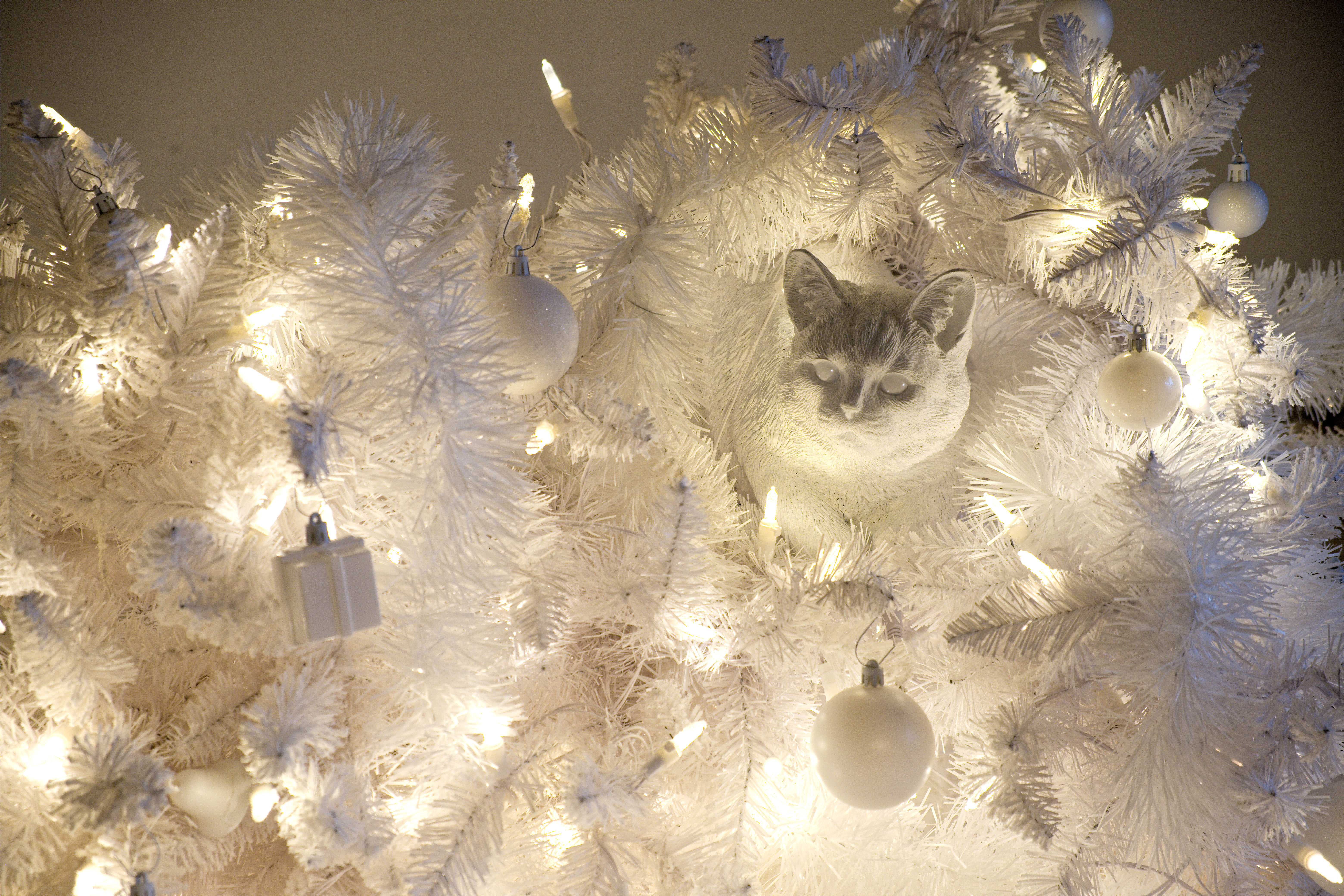 CAT-A-CHRISTMAS - Marcantonio design