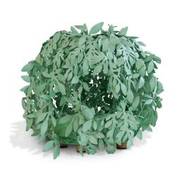 CAT BUSH - Marcantonio Design