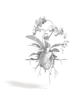 Cuore con Orchidea - Marcantonio design