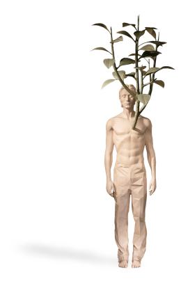 NATURAL CONNECTION - Marcantonio Design
