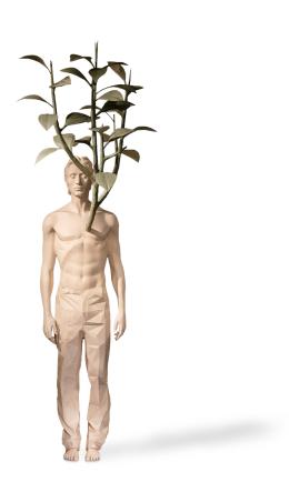 NATURAL CONNECTION - Marcantonio Design